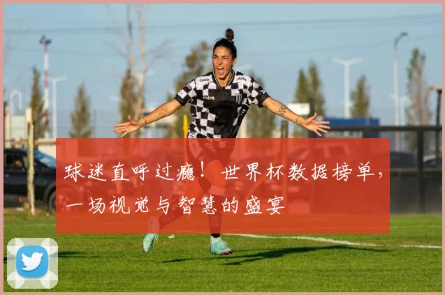 球迷直呼过瘾!世界杯数据榜单,一场视觉与智慧的盛宴