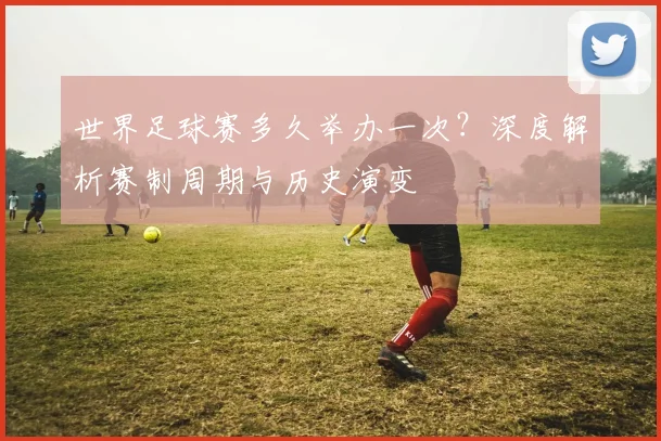 世界足球赛多久举办一次?深度解析赛制周期与历史演变